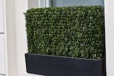 Artificial Boxwood hedge